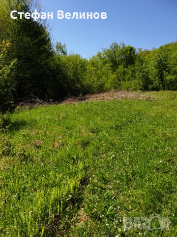 Продавам парцел в центъра на гр.Априлци, снимка 5 - Парцели - 14335829