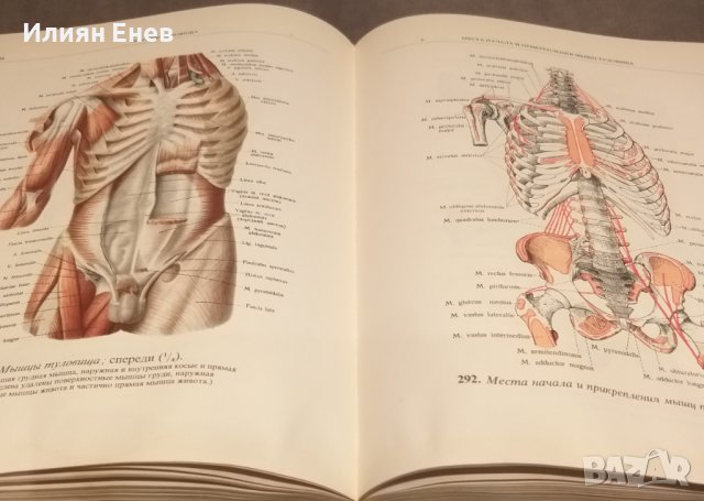 Атласи по Анатомия, снимка 3 - Специализирана литература - 43409133