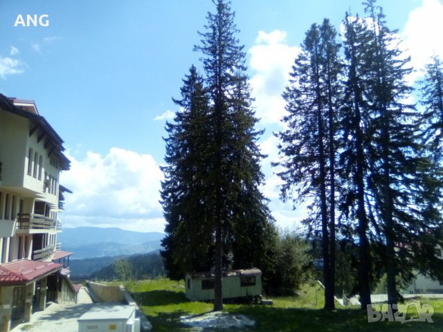 Продава парцел в к.к. Пампорово , снимка 9 - Парцели - 36934032