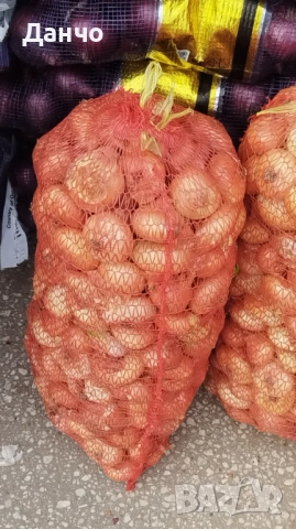 Продавам разсад-ягоди малини лозе алое Вера маруля стари сортовете семена картофи и де