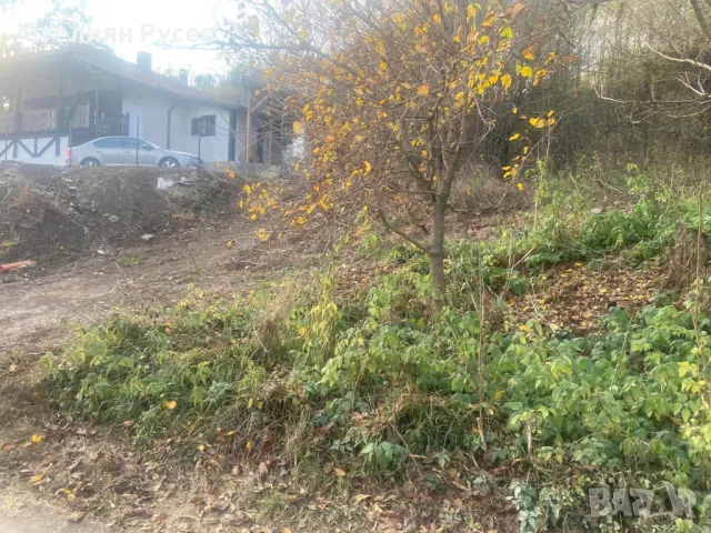 терен / градина / имот / парцел 1620кв.м в с. Ветрен / обл. Силистра - цена 16 600лв - двор 1620кв С, снимка 2 - Парцели - 49801432