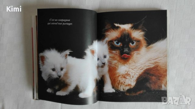 Котешки луксозни албуми, снимка 4 - Други - 26550144