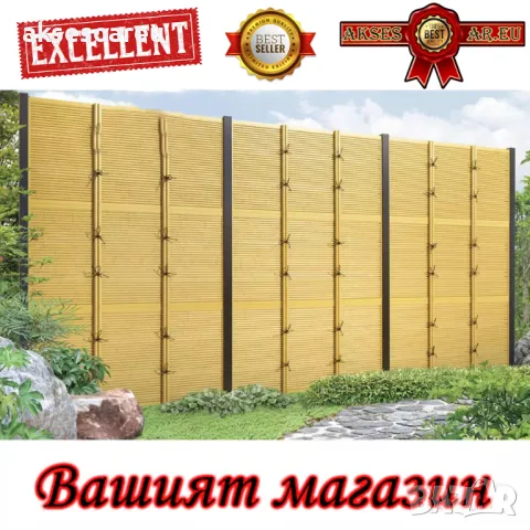 100 броя редки бамбукови семена зелен бамбук Moso-Bamboo мосо бамбо растение за декорация и украса , снимка 3 - Сортови семена и луковици - 48992845