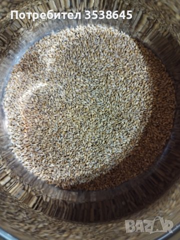 Български: лимец и брашно 5 лв, лен 5 лв, бадеми 21 лв; киноа бяла 10 лв, зелена елда 6 лв 