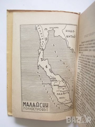 Стара книга Зовътъ на малайските джунгли - Гарвет Уелс 1941 г., снимка 3 - Други - 27451071