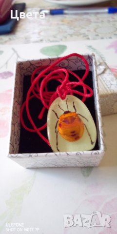 Медальон  от естествен монголски бръмбар, снимка 9 - Колиета, медальони, синджири - 32587743