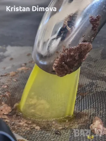 Зехтин Extra Virgin , снимка 2 - Други услуги - 48157201