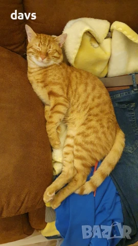 Чаровен Рижко търси партньорка, снимка 2 - Търси партньор - 50946674