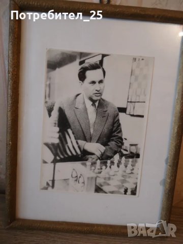 Ретро снимка на шахматиста Паул Керес, снимка 2 - Други ценни предмети - 48577217
