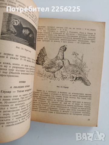 Ръководство по ловно стопанство, снимка 2 - Специализирана литература - 52441859