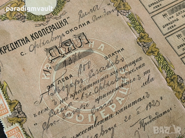 Дял за 100 лева златни | Кредитна кооп-я "Сила" | 1923г.