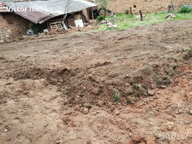 Градински услуги и Услуги с мини Багер и самосвал, снимка 3 - Други - 50503215