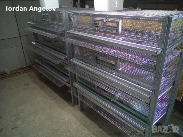 Клетки за пъдпъдъци , снимка 5 - За птици - 25557401