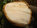 Подарявам дървен материал - и орехови фиданки в Княжево