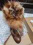 Боти DARIS лисица/ест кожа, снимка 1 - Дамски боти - 43157978