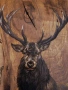 Картина елен дърво, снимка 2