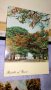 ЛОТ 4 СТАРИ КРАСИВИ ПОЩЕНСКИ КАРТИЧКИ БЪЛГАРИЯ ИСПАНИЯ ГВИНЕЯ 33027, снимка 4