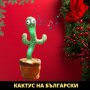🌵 Оги - забавният пеещ и танцуващ кактус играчка - на български и английски, снимка 1