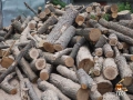 Нацепени дърва за огрев – 120 лв/кубик, снимка 3