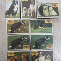 Лот от 9 бр. неизползвани български кибрита с кучета, снимка 2 - Други ценни предмети - 27962479