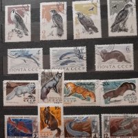 Богата колекция от пощенски марки от цял свят , снимка 18 - Филателия - 35470504