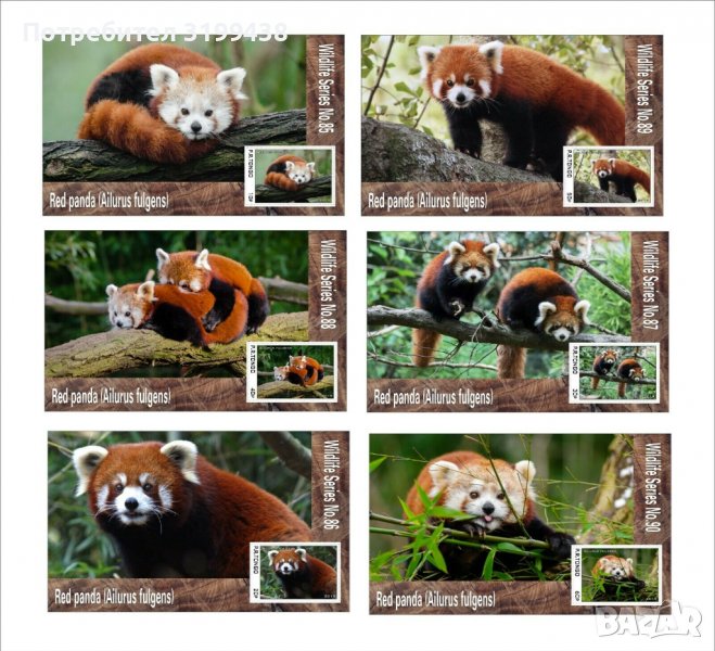 Чисти блокове Фауна Червена Панда 2019 от Тонго, снимка 1