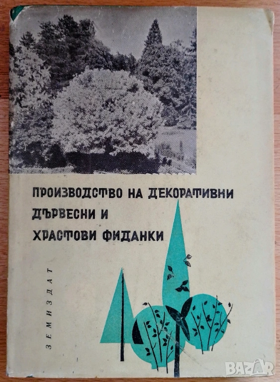 Производство на декоративни дървесни и храстови фиданки, снимка 1