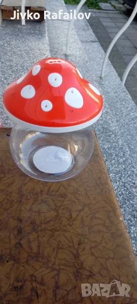 Касичка гъба, снимка 1