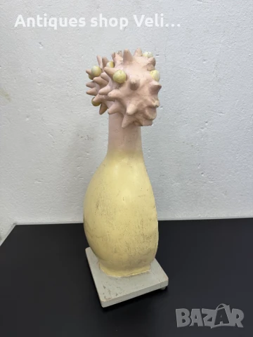 Биологичен модел №7085, снимка 2 - Други ценни предмети - 50781502