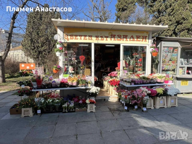 Давам под наем Павилион за цветя и подаръци - град Варна, Център