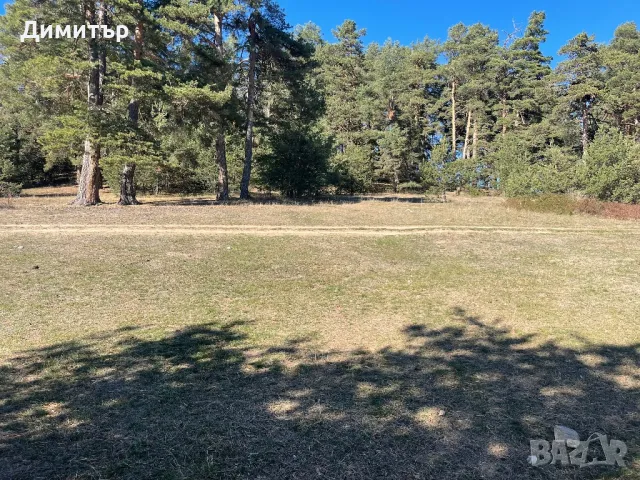 Парцел,земя,град Батак,Цигов чарк, снимка 5 - Парцели - 47759091