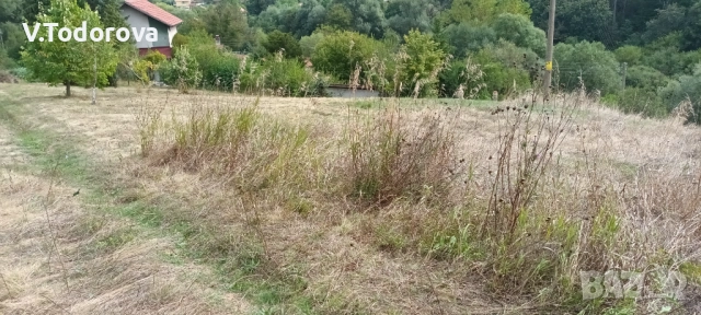 Продавам имот в село Росоман Софийска област , снимка 4 - Земеделска земя - 52479889