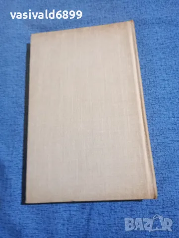 Димитър Мантов - Лудите глави , снимка 4 - Българска литература - 50342849