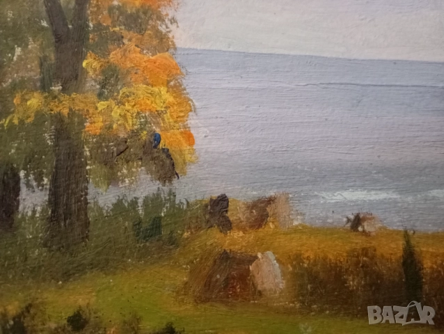 Картина- пейзаж, снимка 4 - Картини - 52933391