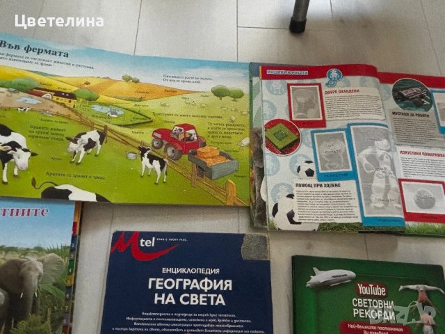 5 различни енциклопедии , снимка 5 - Енциклопедии, справочници - 50780920