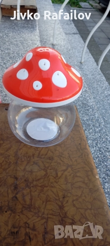 Касичка гъба