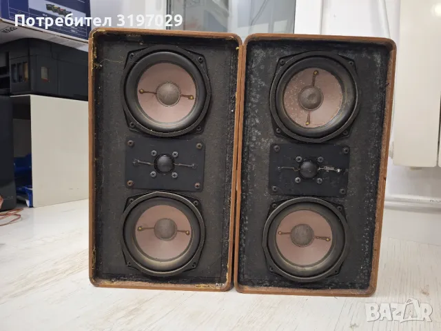 Редки тонколони немски, снимка 11 - Тонколони - 48348976