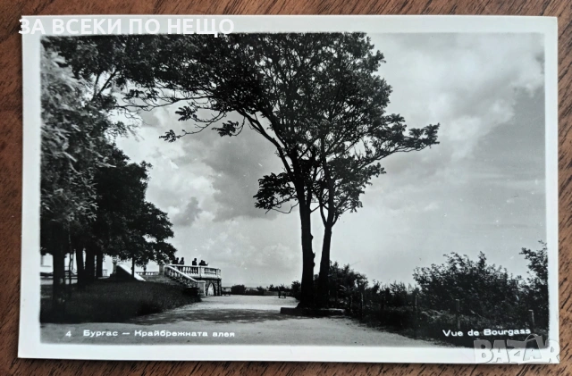 4 БРОЯ КАРТИЧКИ ЧЕРНО-БЕЛИ ОТ 1960-ТЕ ГОДИНИ, снимка 3 - Колекции - 35211232