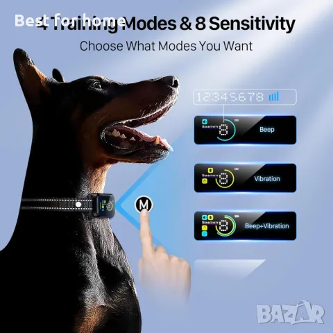 DINJOO Bark Collar смарт каишка за лай, снимка 3 - За кучета - 48241595