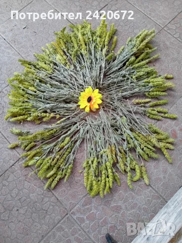 био  мурсалски  чай, снимка 4 - Хранителни добавки - 50732701