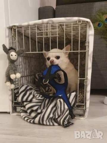 Нагръдник с повод за куче. Розов, син, черен, червен нагръдник. Нагръдници с поводи за кучета. , снимка 13 - За кучета - 28581584