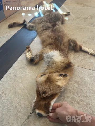 естествена кожа с косъм , снимка 2 - Други стоки за дома - 50078309