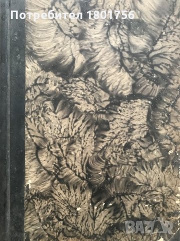 Етимологически и правописенъ речникъ на българския книжовенъ езикъ - Стефан Младенов, снимка 2 - Специализирана литература - 28605744