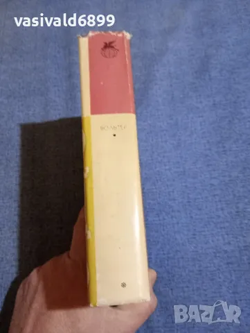 Волтер - избрано , снимка 2 - Художествена литература - 48503328