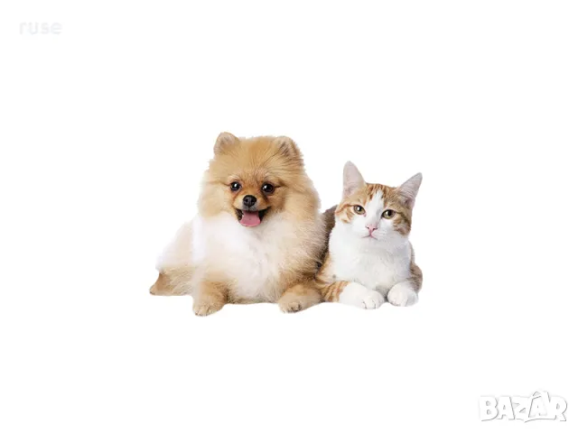 НОВИ! Палатка Иглу къща за котка / куче, снимка 5 - Други стоки за животни - 47463043