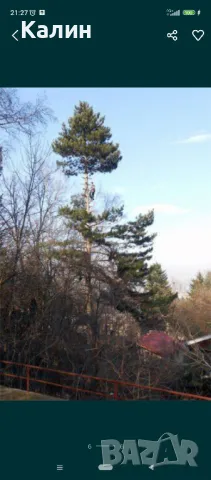 рязане на опасни дървета, снимка 5 - Други услуги - 50156020