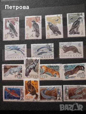 Богата колекция от пощенски марки от цял свят , снимка 18 - Филателия - 35470504