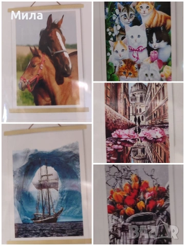 Диамантени гоблени 40*60