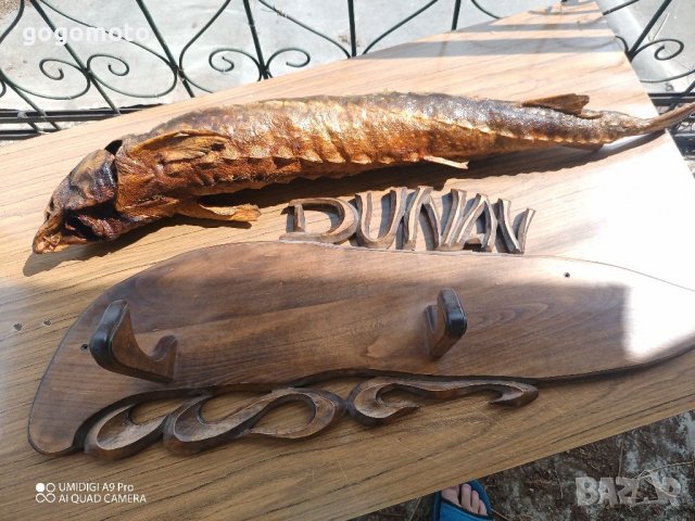 Трофей, Риболовен трофей щука от ДУНАВ, на над 50 години, снимка 5 - Декорация за дома - 37053412