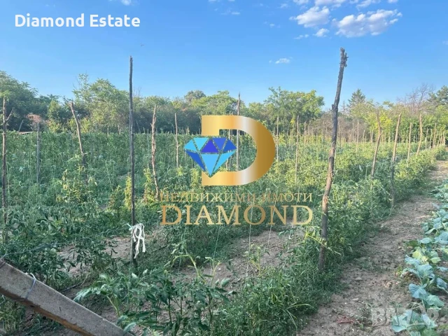 Едноетажна къща в село Гранит, обл. Стара Загора, снимка 5 - Къщи - 51362100